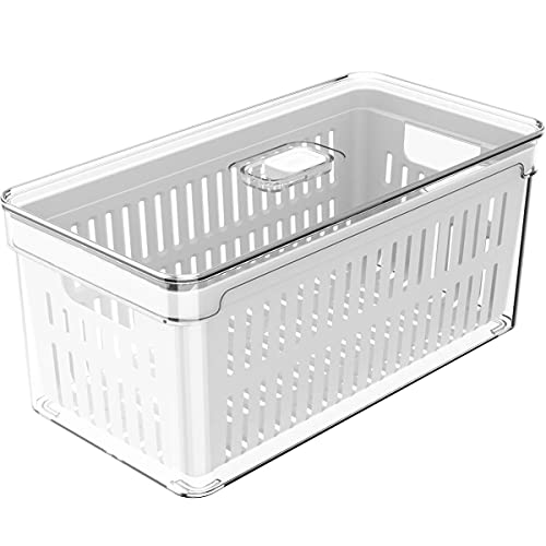 OU OF350NT Organizador de Geladeira com Escorredor Interno, 5 L – Caixa Plástica para Legumes, Saladas